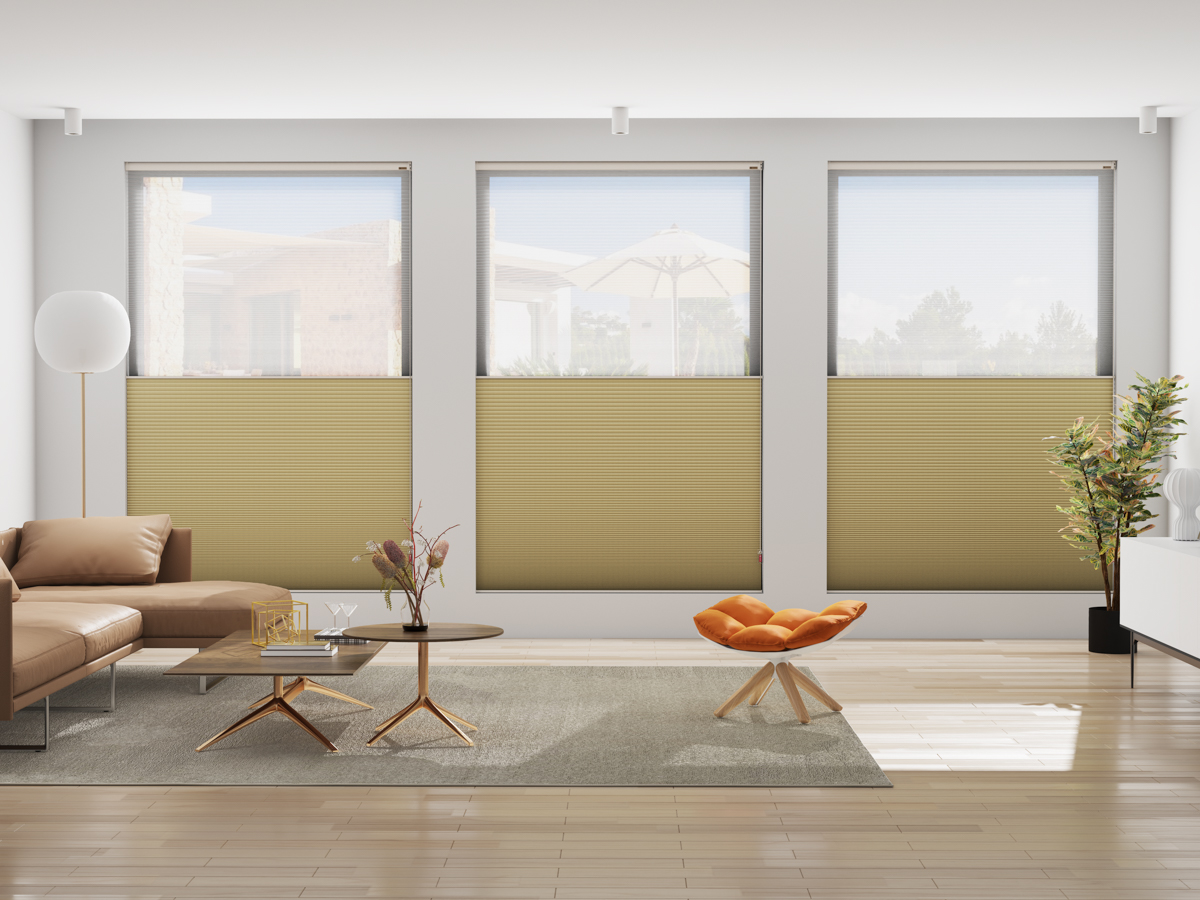 HCB9238-01 DAY&NIGHT