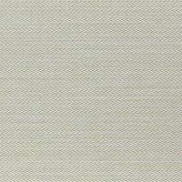 DT 1121