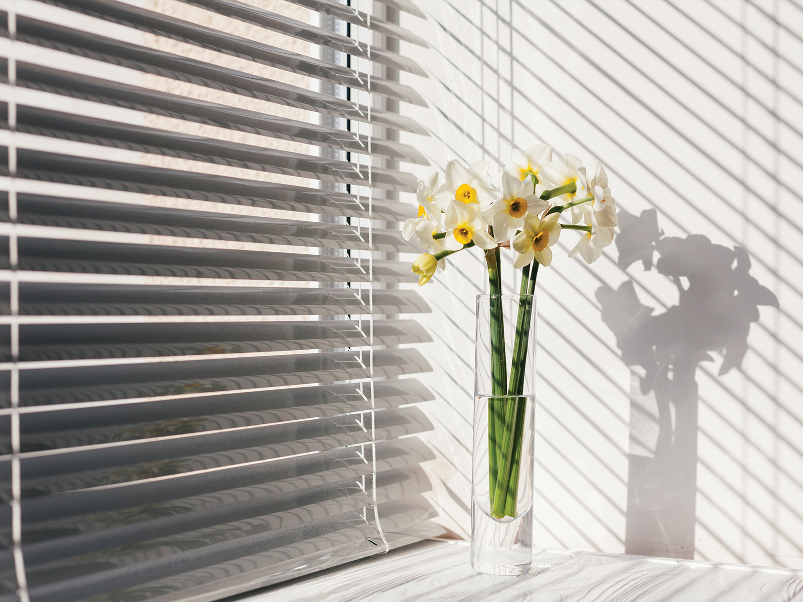  Alminium blinds - Aluminum Soil - Hole