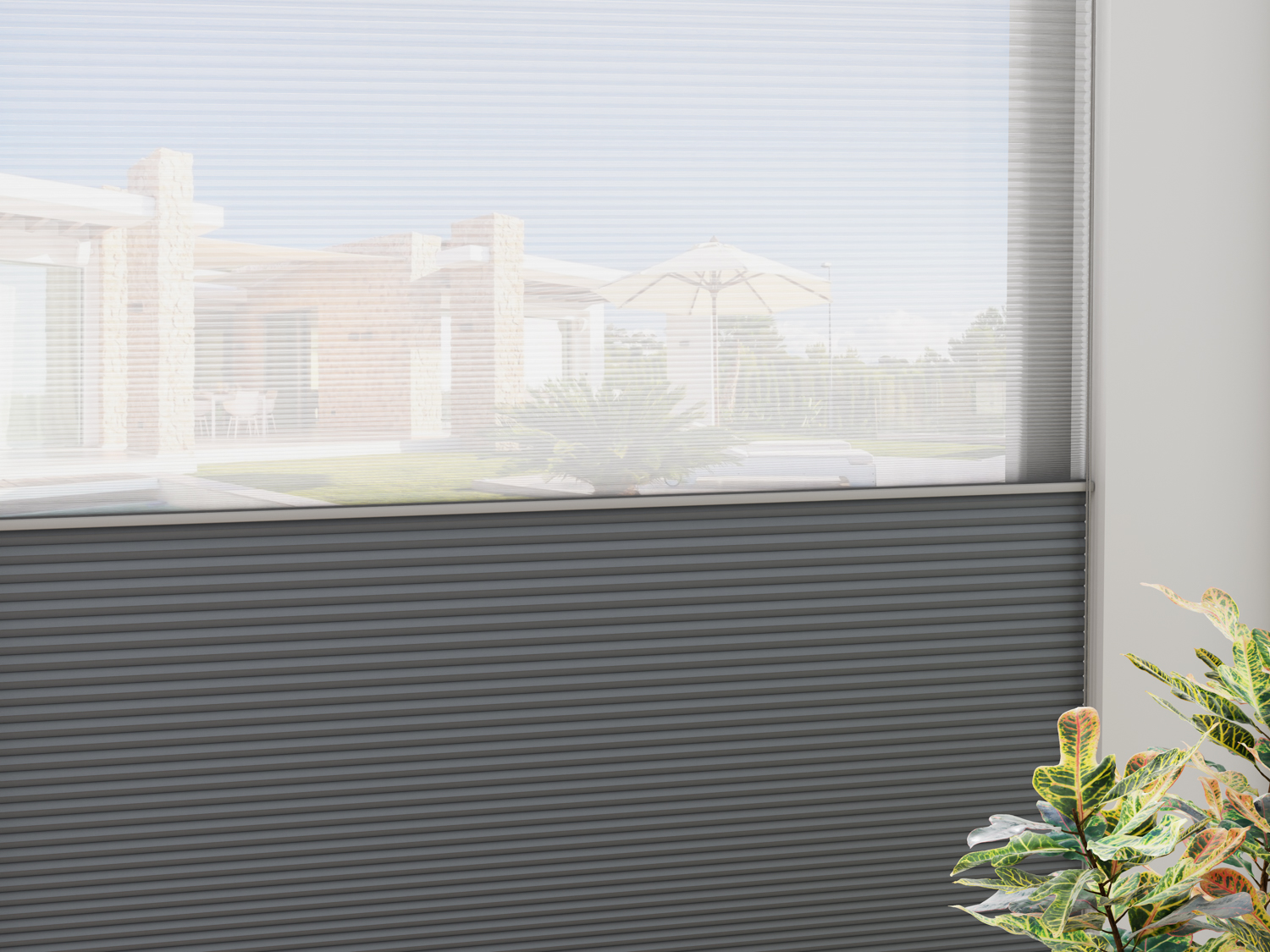  Honeycomb shades - BLACHOUT 25