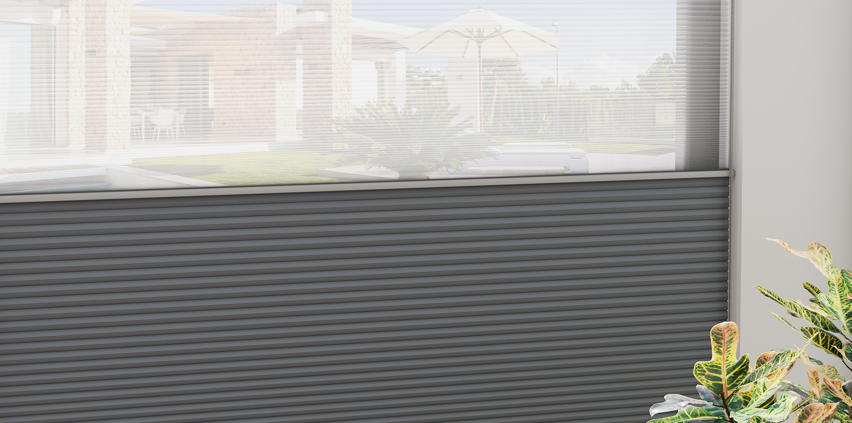 Mành tổ ong - TRANSLUCENT 38